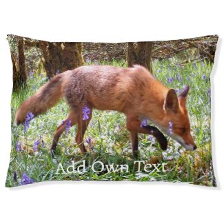 Red Fox in the Bluebells 