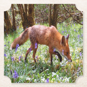 Red Fox in the Bluebells Rustic Woodland Wildlife Paper Coaster