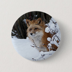 Red Fox in the Snow 6 Cm Round Badge