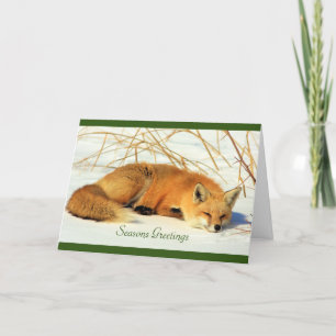 Red Fox in the Snow Folded Holiday Card