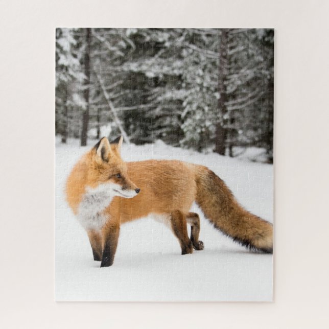 Red Fox in White Snow Jigsaw Puzzle (Vertical)