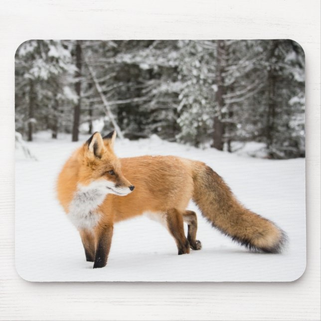 Red Fox in White Snow Mouse Mat (Front)