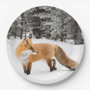 Red Fox in White Snow Paper Plate