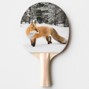 Red Fox in White Snow Ping Pong Paddle