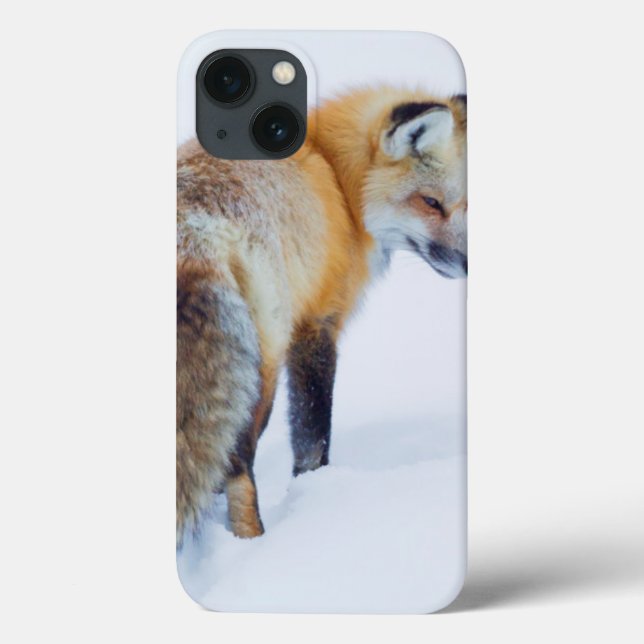 Red Fox in Winter Case-Mate iPhone Case (Back)