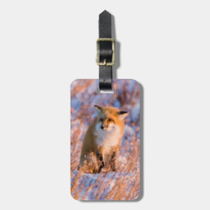 Red Fox in winter Churchill Wildlife Luggage Tag