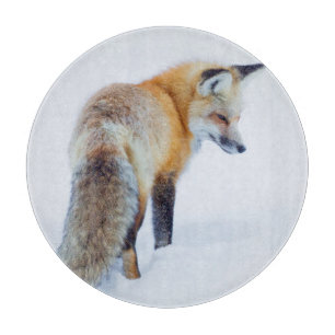 Red Fox in Winter Cutting Board