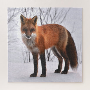 Red Fox In Winter Jigsaw Puzzle
