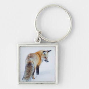 Red Fox in Winter Key Ring
