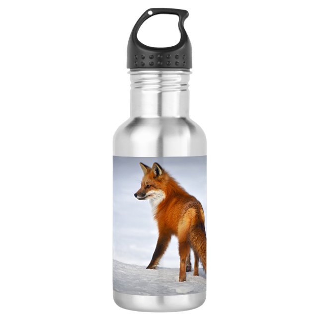 Red Fox in Winter Snow 532 Ml Water Bottle (Front)