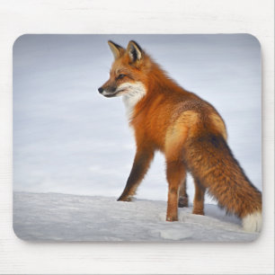 Red Fox in Winter Snow Mouse Mat