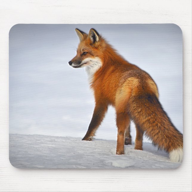 Red Fox in Winter Snow Mouse Mat (Front)