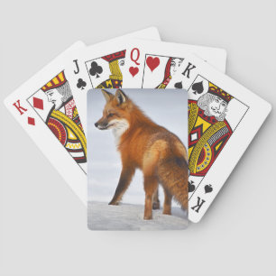 Red Fox in Winter Snow Playing Cards