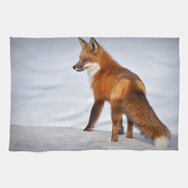 Red Fox in Winter Snow Tea Towel (Horizontal)