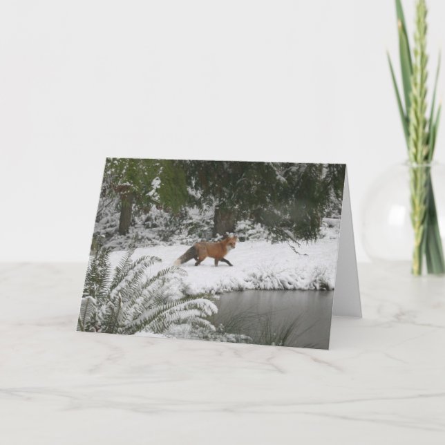 Red Fox in Winter Wonderland Card (Front)