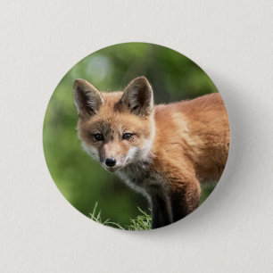 Red Fox Kit 6 Cm Round Badge