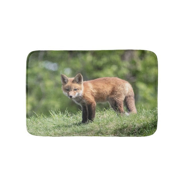 Red Fox Kit Bath Mat (Front)
