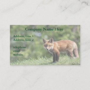 Red Fox Kit Business Card