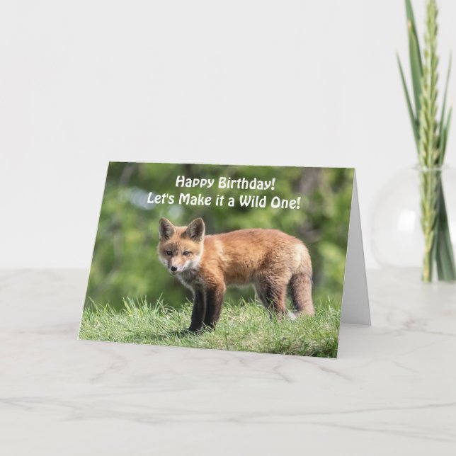 Red Fox Kit Card (Front)
