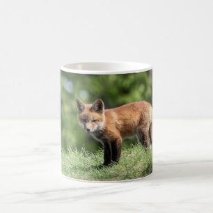 Red Fox Kit Coffee Mug