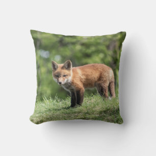 Red Fox Kit Cushion