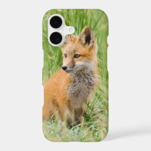 Red Fox Kit in grass near den
