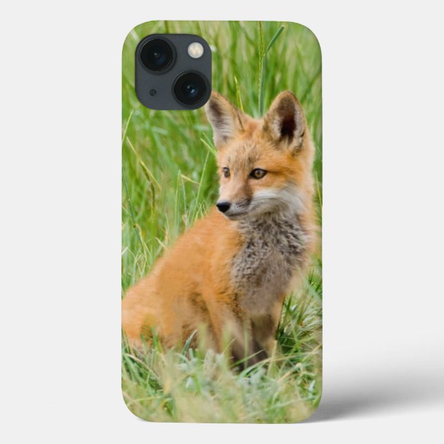 Red Fox Kit in grass near den Case-Mate iPhone Case (Back)