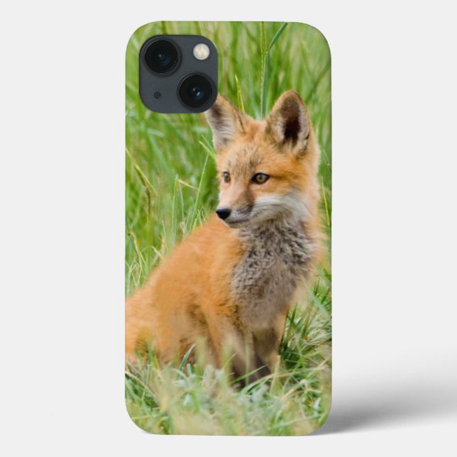 Red Fox Kit in grass near den Case-Mate iPhone Case (Back)