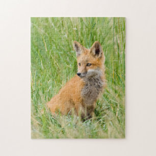 Red Fox Kit in grass near den Jigsaw Puzzle
