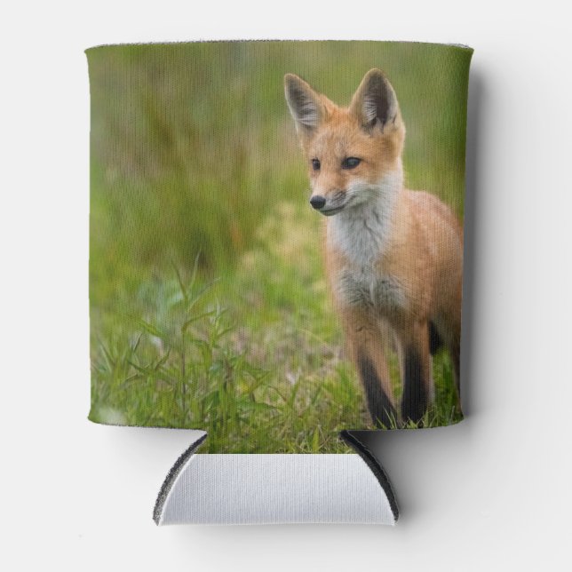 Red Fox Kit In Grassy Meadow Can Cooler (Front)