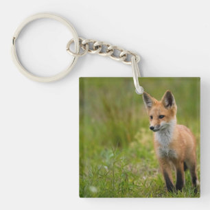 Red Fox Kit In Grassy Meadow Key Ring