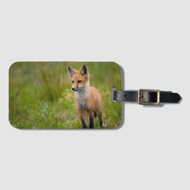 Red Fox Kit In Grassy Meadow Luggage Tag (Front Horizontal)