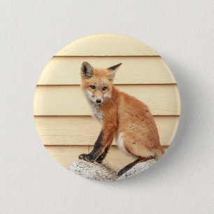 Red Fox Kit in The Hudson Valley 6 Cm Round Badge