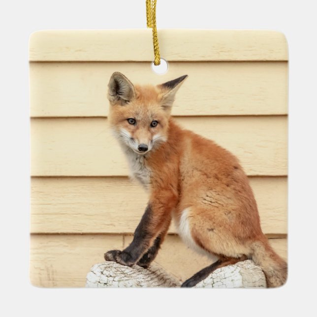 Red Fox Kit in The Hudson Valley Ceramic Ornament (Front)