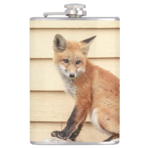 Red Fox Kit in The Hudson Valley Hip Flask