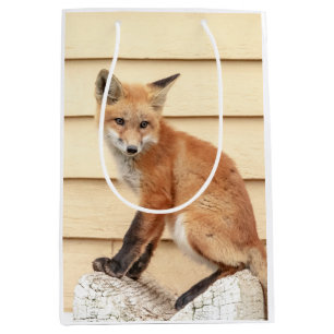 Red Fox Kit in The Hudson Valley Medium Gift Bag
