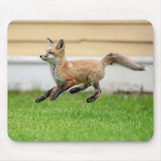 Red Fox Kit in The Hudson Valley Mouse Mat (Front)