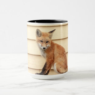 Red Fox Kit in The Hudson Valley Mug