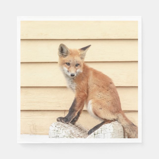 Red Fox Kit in The Hudson Valley Napkin (Front)