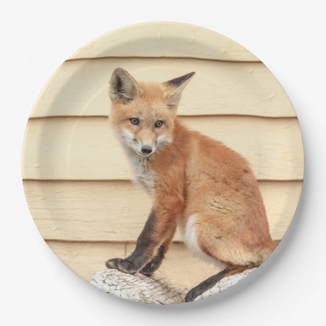 Red Fox Kit in The Hudson Valley Paper Plate (Front)