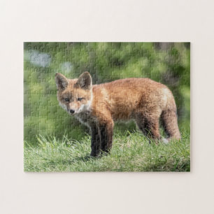 Red Fox Kit Jigsaw Puzzle