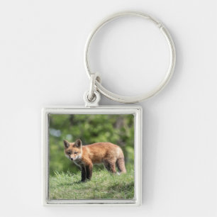 Red Fox Kit Key Ring