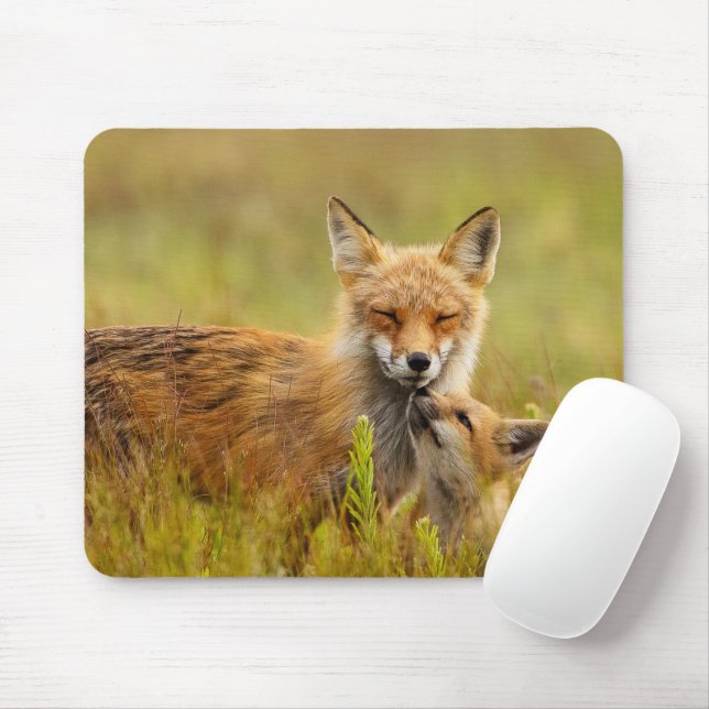 Red Fox Kit Looking Up to Momma Mouse Mat (With Mouse)