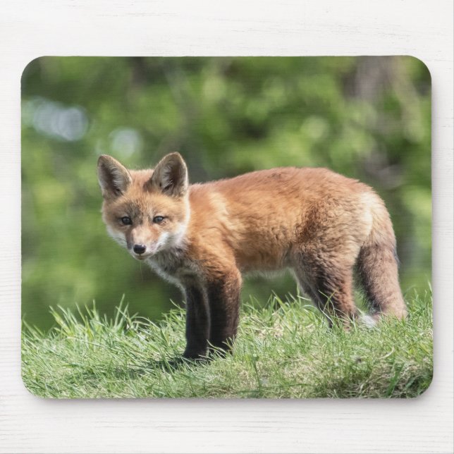 Red Fox Kit Mouse Mat (Front)