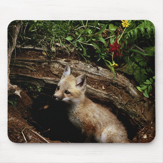 Red Fox Kit Mouse Mat (Front)
