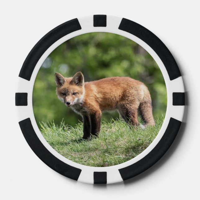 Red Fox Kit Poker Chips (Front)