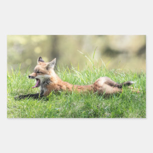 Red Fox Kit Rectangular Sticker
