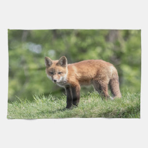 Red Fox Kit Tea Towel