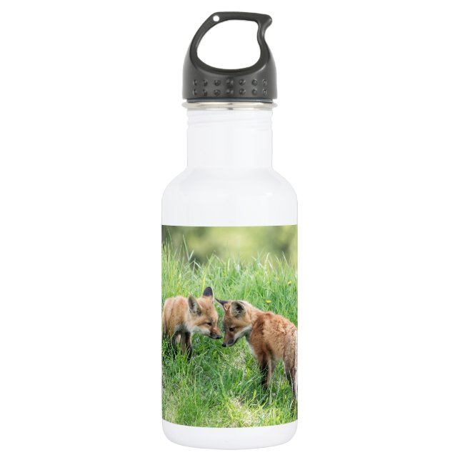 Red Fox Kits 532 Ml Water Bottle (Front)