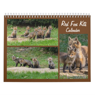 Red Fox Kits Calendar